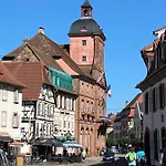 Appartement Le Pied De Boeuf Wissembourg